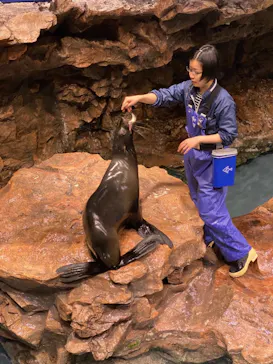 すみだ水族館に投稿された画像（2021/1/29）