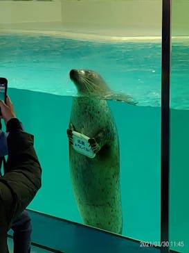 下田海中水族館に投稿された画像（2021/1/30）
