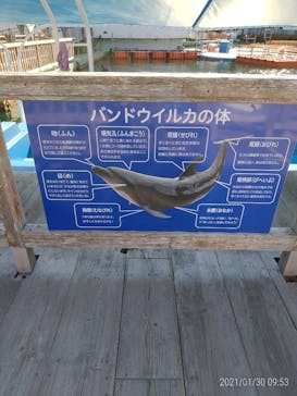 下田海中水族館に投稿された画像（2021/1/30）