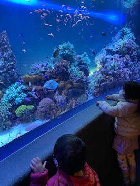 サンシャイン水族館に投稿された画像（2021/1/30）
