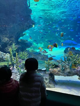 サンシャイン水族館に投稿された画像（2021/1/30）