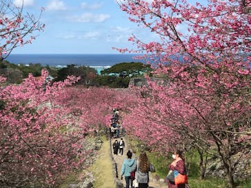 今帰仁城跡に投稿された画像（2021/1/30）