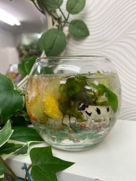 ずこうしつ〜sugamo〜に投稿された画像（2021/1/30）