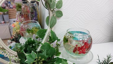 ずこうしつ〜sugamo〜に投稿された画像（2021/1/30）