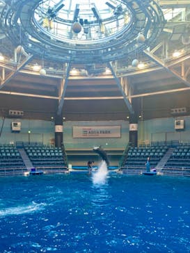 マクセル アクアパーク品川に投稿された画像（2021/1/30）