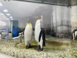 仙台うみの杜水族館に投稿された画像（2021/1/30）