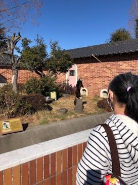 東武動物公園に投稿された画像（2021/1/30）