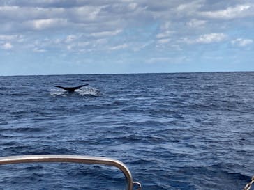 Sea World（シーワールド）に投稿された画像（2021/1/30）