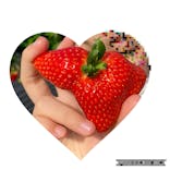 いのさんの観光農園に投稿された画像（2021/1/30）