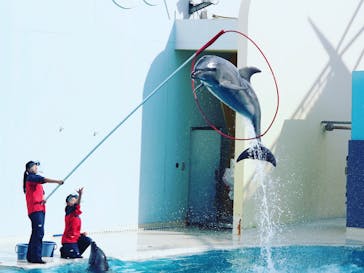 株式会社Gに投稿された画像（2021/1/30）