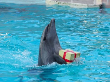 株式会社Gに投稿された画像（2021/1/30）