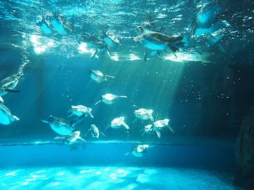 株式会社Gに投稿された画像（2021/1/30）