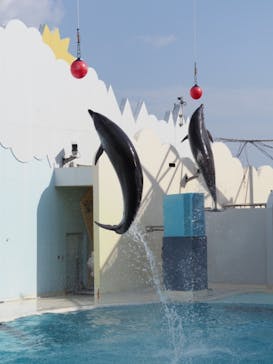 株式会社Gに投稿された画像（2021/1/30）