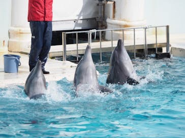 株式会社Gに投稿された画像（2021/1/30）