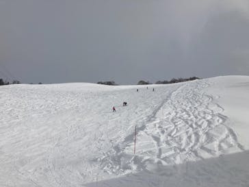 湯沢高原スキー場/パノラマパークに投稿された画像（2021/1/30）