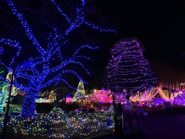 よみうりランド 遊園地に投稿された画像（2021/1/31）