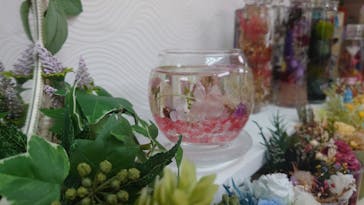 ずこうしつ〜sugamo〜に投稿された画像（2021/1/31）