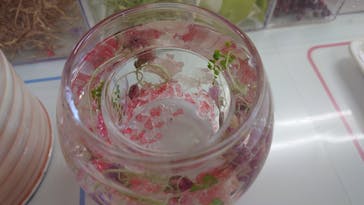 ずこうしつ〜sugamo〜に投稿された画像（2021/1/31）