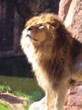 天王寺動物園に投稿された画像（2021/1/31）