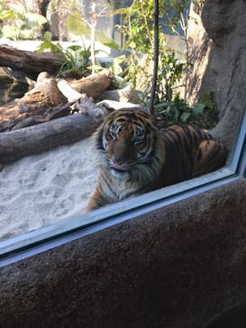 神戸どうぶつ王国に投稿された画像（2021/1/31）