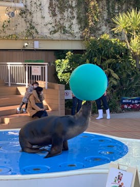 サンシャイン水族館に投稿された画像（2021/1/31）