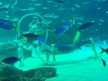 サンシャイン水族館に投稿された画像（2021/1/31）