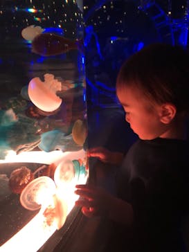 マクセル アクアパーク品川に投稿された画像（2021/1/31）