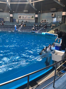 マクセル アクアパーク品川に投稿された画像（2021/1/31）