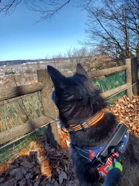 わんダフルネイチャーヴィレッジに投稿された画像（2021/1/31）