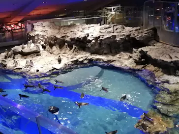 すみだ水族館に投稿された画像（2021/1/31）