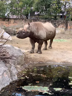 天王寺動物園に投稿された画像（2021/1/31）