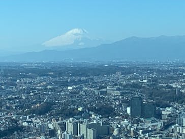 横浜ランドマークタワー 69階展望フロア スカイガーデンに投稿された画像（2021/1/31）