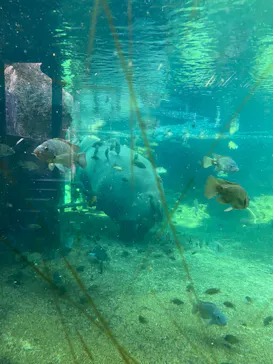 天王寺動物園に投稿された画像（2021/1/31）