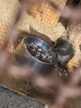 天王寺動物園に投稿された画像（2021/1/31）