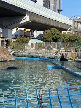 天王寺動物園に投稿された画像（2021/1/31）