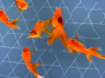 すみだ水族館に投稿された画像（2021/1/31）