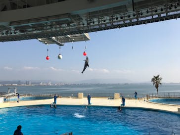 マリンワールド海の中道に投稿された画像（2021/1/31）