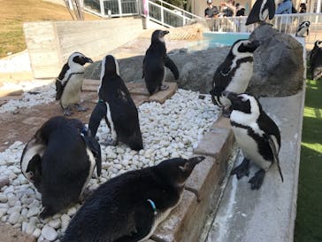 マリンワールド海の中道に投稿された画像（2021/1/31）