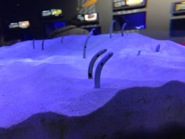 マリンワールド海の中道に投稿された画像（2021/1/31）