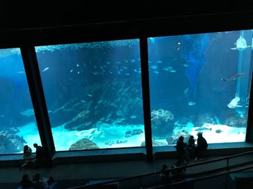 マリンワールド海の中道に投稿された画像（2021/1/31）