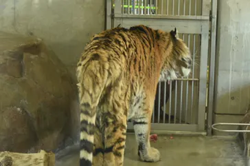 天王寺動物園に投稿された画像（2021/1/31）