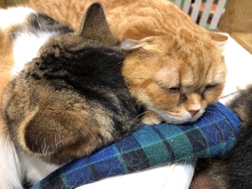 神戸どうぶつ王国に投稿された画像（2021/1/31）