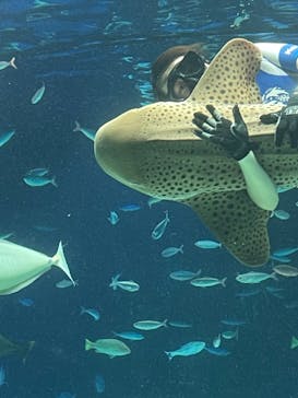 サンシャイン水族館に投稿された画像（2021/1/31）