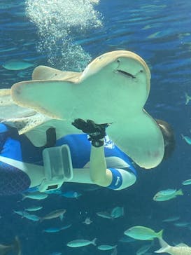 サンシャイン水族館に投稿された画像（2021/1/31）