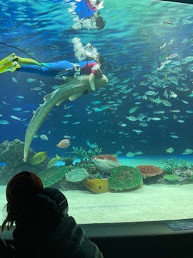 サンシャイン水族館に投稿された画像（2021/1/31）