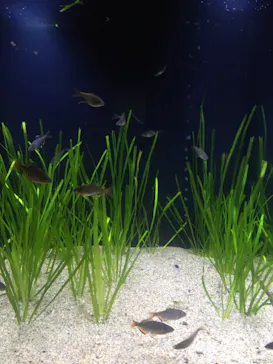 すみだ水族館に投稿された画像（2021/1/31）