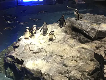 すみだ水族館に投稿された画像（2021/1/31）