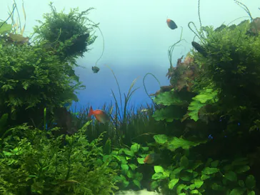 すみだ水族館に投稿された画像（2021/1/31）