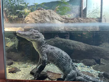 天王寺動物園に投稿された画像（2021/1/31）