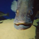 マリンワールド海の中道に投稿された画像（2021/1/31）